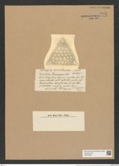Triceratium grunowii Jan. (de-Toni-Nr.: Genus 140, Species 3726) Zeichnungen Sammlung Grunow Nr. 7233 (NHMW-BOT-W0376228)